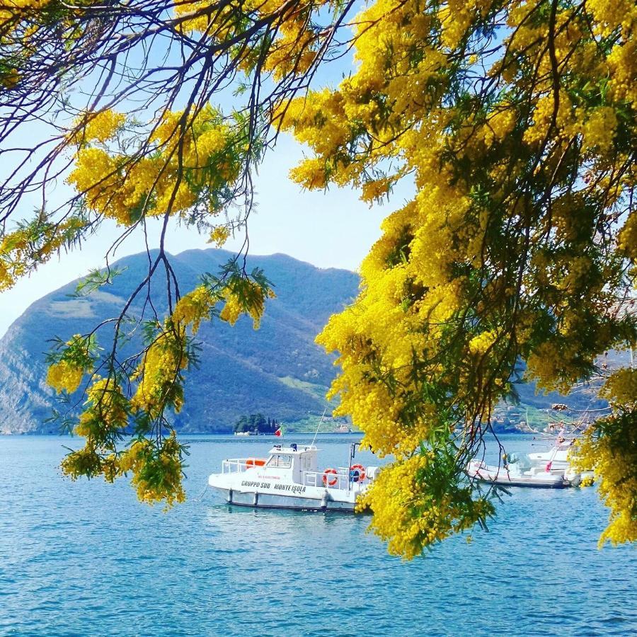 Irina'S House With View On Like And Swimming Pool Apartment Riva di Solto Luaran gambar